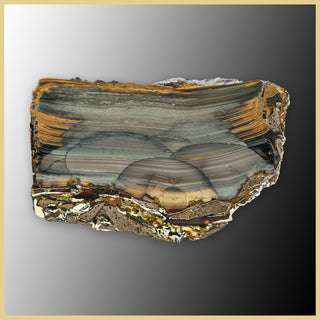 BLM546tr Blue Mountain Jasper Slab