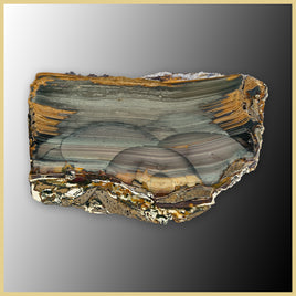 BLM546tr Blue Mountain Jasper Slab