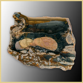 BLM548tr Blue Mountain Jasper Slab
