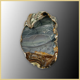 BLM550tr Blue Mountain Jasper Slab