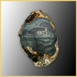 BLM551tr Blue Mountain Jasper Slab