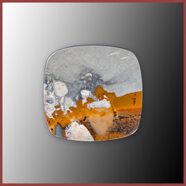 BMP167c Blue Mustang Picture Jasper Cabochon