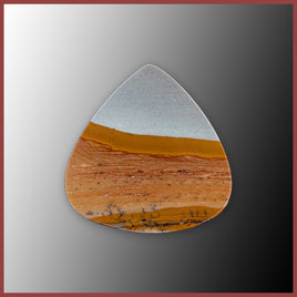 BMP170c Blue Mustang Picture Jasper Cabochon