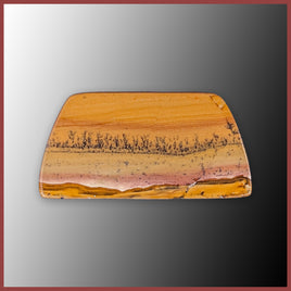 BMP175c Blue Mustang Picture Jasper Cabochon