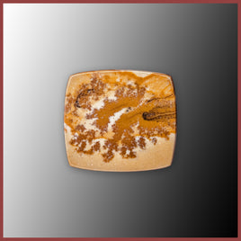 BMP177c Blue Mustang Picture Jasper Cabochon