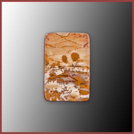 BMP178c Blue Mustang Picture Jasper Cabochon