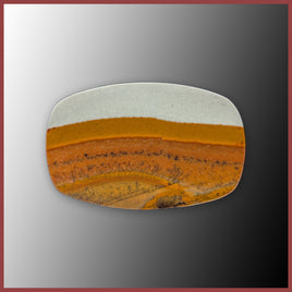 BMP183c Blue Mustang Picture Jasper Cabochon