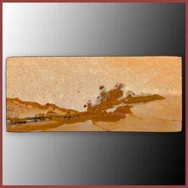 BMP186c Blue Mustang Picture Jasper Cabochon