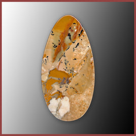 BMP189c Blue Mustang Picture Jasper Cabochon