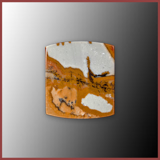 BMP192c Blue Mustang Picture Jasper Cabochon