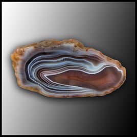 BOT347 Botswana Agate Specimen