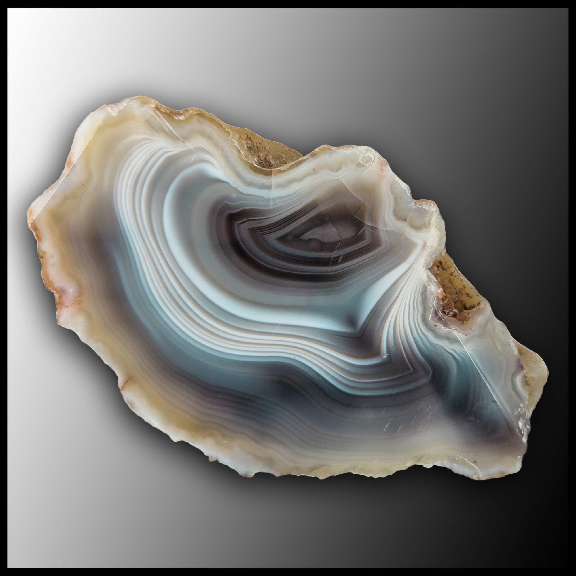 BOT357 Botswana Agate Specimen| The Gem Shop, Inc.