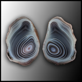 BOT365pr Botswana Agate Specimen Pair