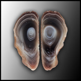 BOT366pr Botswana Agate Specimen Pair