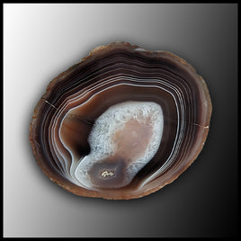 BOT370 Botswana Agate Specimen