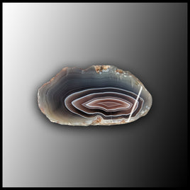 BOT372 Botswana Agate Specimen