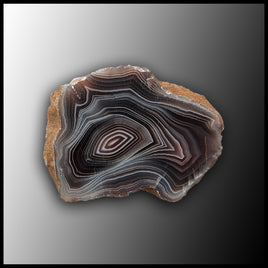 BOT373 Botswana Agate Specimen