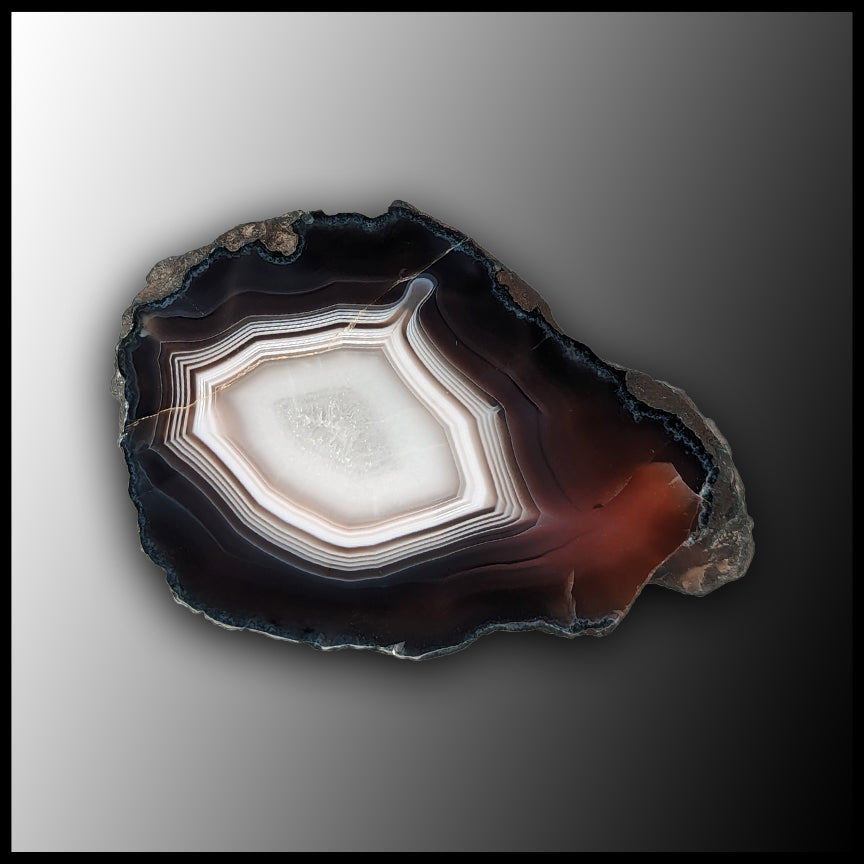 BOT375 Botswana Agate Specimen| The Gem Shop, Inc.
