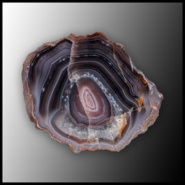 BOT386 Botswana Agate Specimen