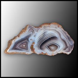 BOT387 Botswana Agate Specimen