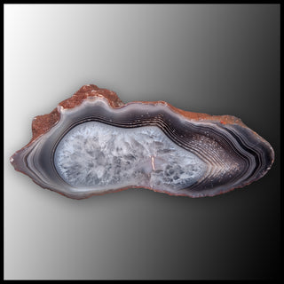 BOT388 Botswana Agate Specimen