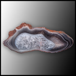 BOT388 Botswana Agate Specimen