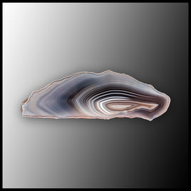 BOT391 Botswana Agate Specimen