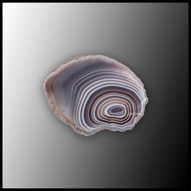 BOT394 Botswana Agate Specimen