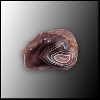 BOT399 Botswana Agate Specimen