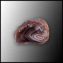 BOT399 Botswana Agate Specimen