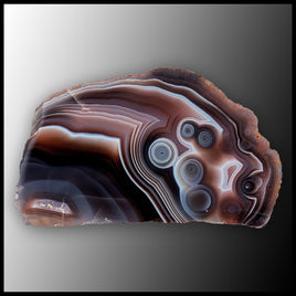 BOT400 Botswana Agate Slab