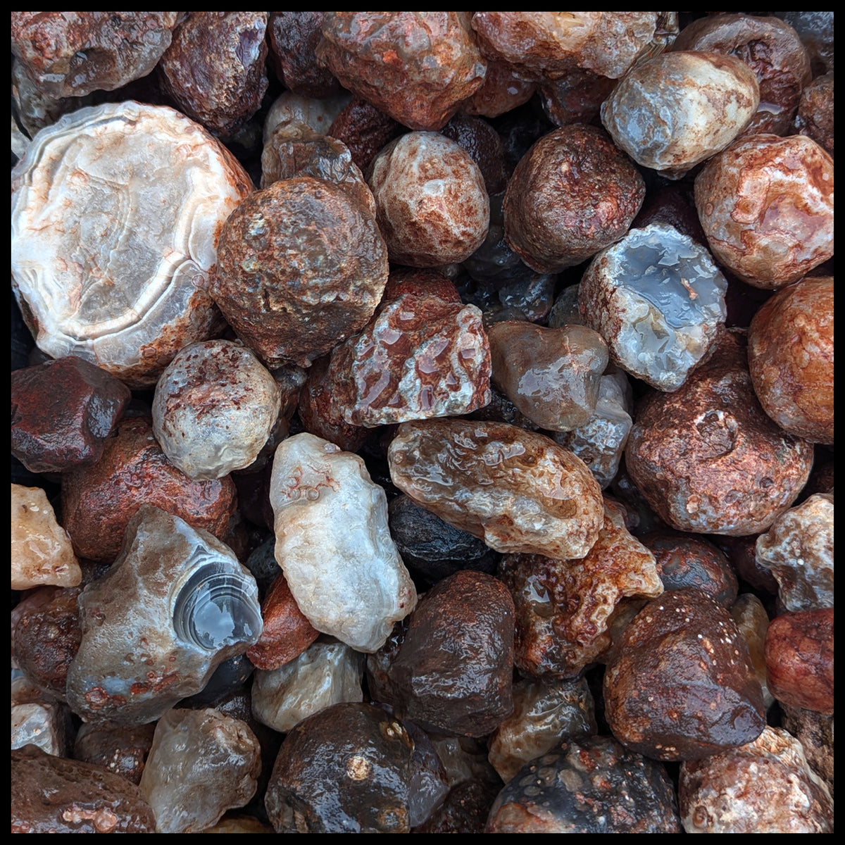 Rough Roc Rough Rock| The Gem Shop, Inc.