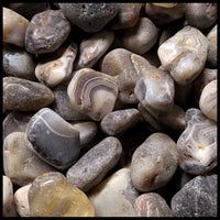 Botswana Agate, Tumbling Rough, per lb