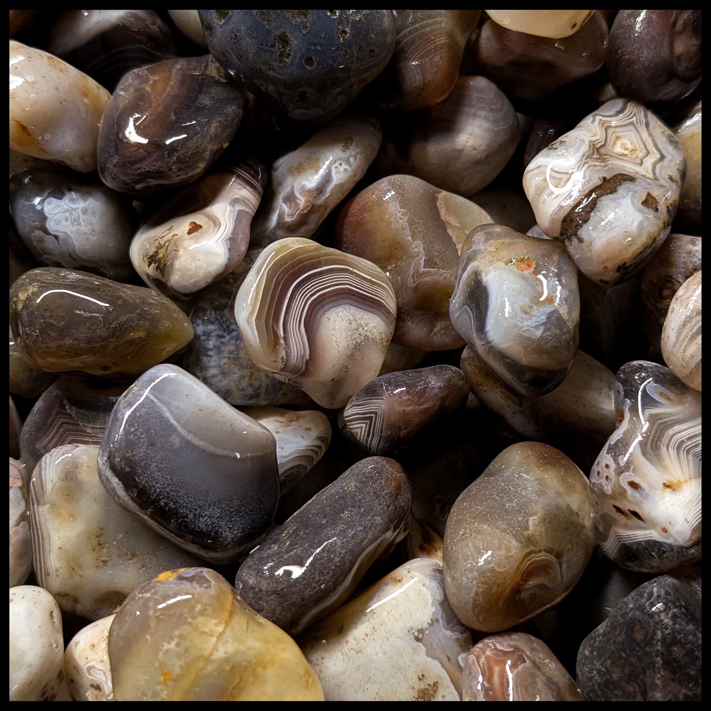 Botswana Agate, Tumbling Rough, per lb| The Gem Shop, Inc.