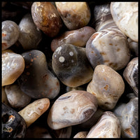 Botswana Agate, Tumbling Rough, per lb