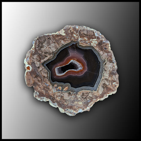 BRT179 Baker Ranch Thunderegg Specimen
