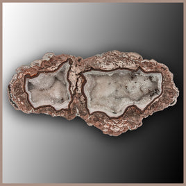 BRT192JR Baker Ranch Thunderegg Specimen