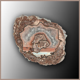 BRT194JR Baker Ranch Thunderegg Specimen