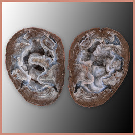 BST107pr Blue Star Thunderegg Specimen Pair