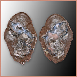 BST108pr Blue Star Thunderegg Specimen Pair