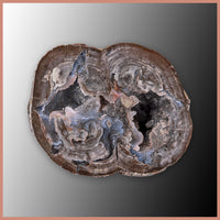 BST110pr Blue Star Thunderegg Specimen Pair