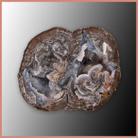 BST110pr Blue Star Thunderegg Specimen Pair