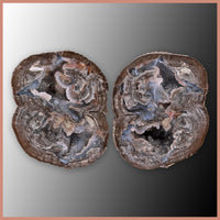 BST110pr Blue Star Thunderegg Specimen Pair