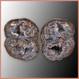 BST110pr Blue Star Thunderegg Specimen Pair