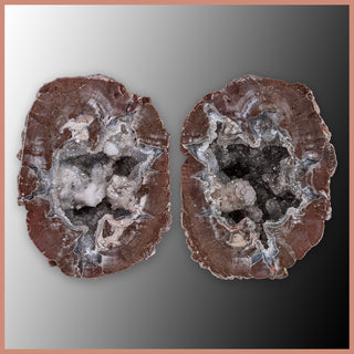 BST113pr Blue Star Thunderegg Specimen Pair