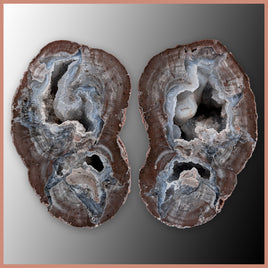 BST121pr Blue Star Thunderegg Specimen Pair