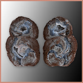 BST122pr Blue Star Thunderegg Specimen Pair