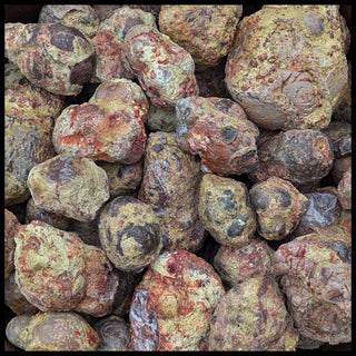 Crystal Canyon Geodes, per lb