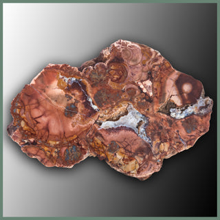 CMT150 Cold Mountain Thunderegg Specimen