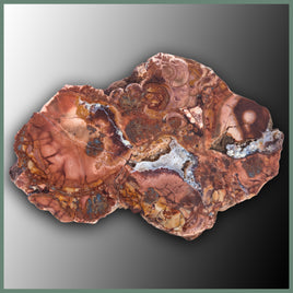 CMT150 Cold Mountain Thunderegg Specimen